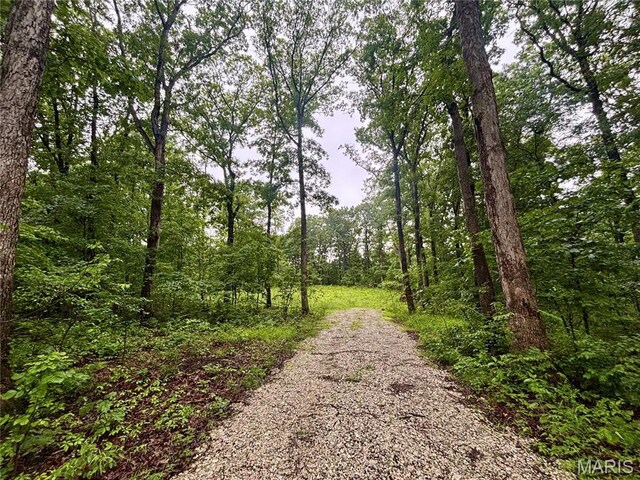 2575 County Farm Rd, Wright City, MO 63390