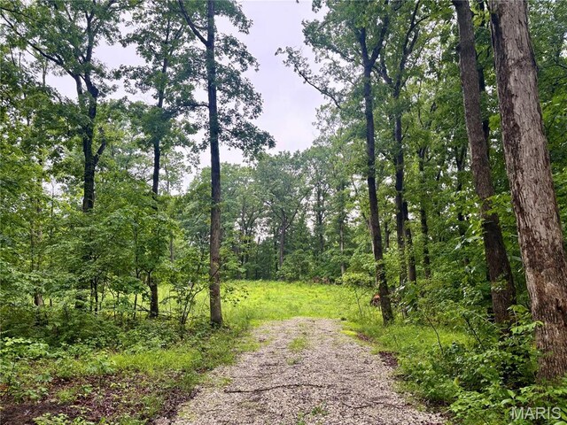 2575 County Farm Rd, Wright City, MO 63390