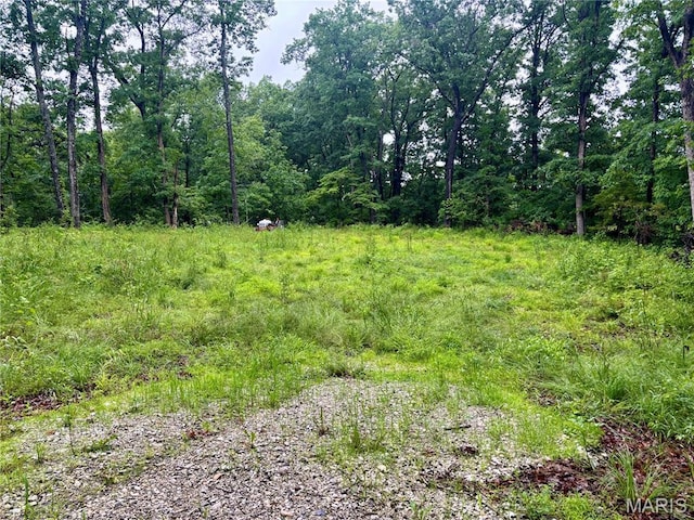 2575 County Farm Rd, Wright City, MO 63390