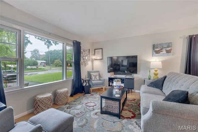169 W Kirkham Ave, Webster Groves, MO 63119 - living room featuring wood finished floors and baseboards
