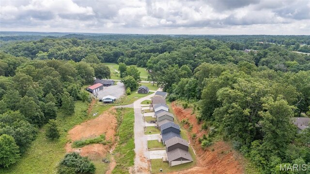 112 Mayson Ln, Poplar Bluff, MO 63901 - photo 30
