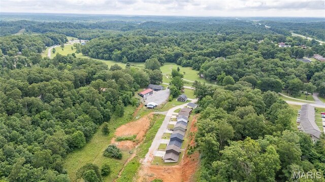 112 Mayson Ln, Poplar Bluff, MO 63901 - photo 31