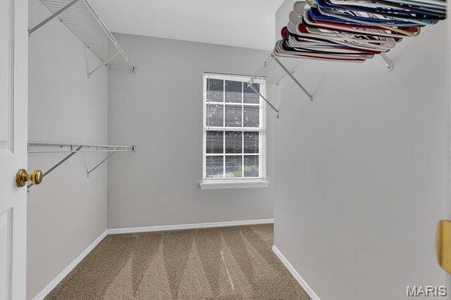 1305 Flintshire Ln, Lake St Louis, MO 63367 - spacious closet with carpet floors