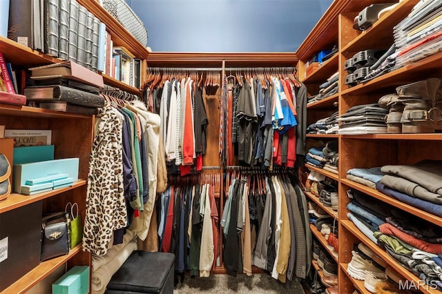 901 Washington Ave Unit 702, Saint Louis, MO 63101 - walk in closet with carpet