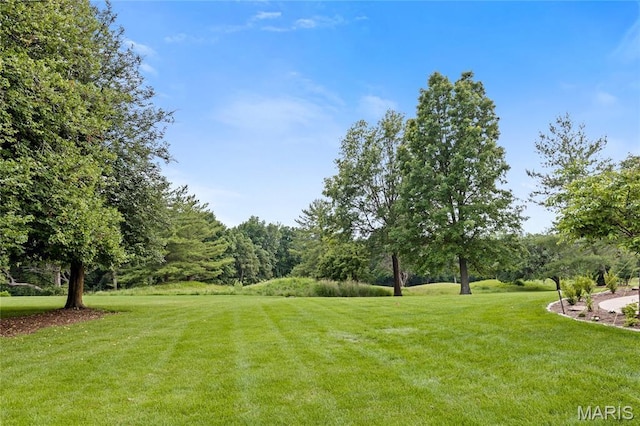 776 Hillenkamp Dr, Weldon Spring, MO 63304 - view of grassy yard