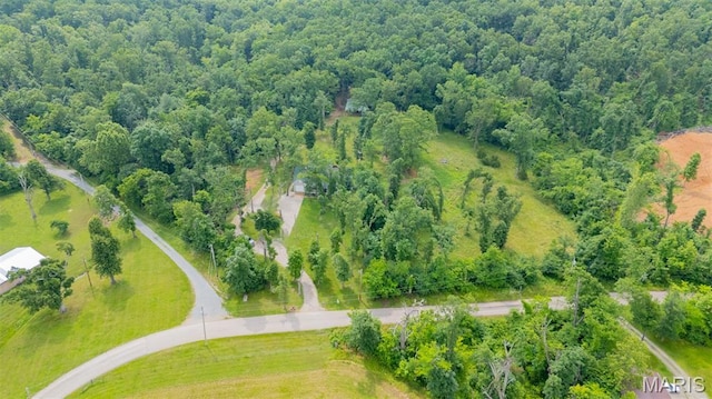 2004 Possum Hollow Rd, Farmington, MO 63640 - aerial view of a forest