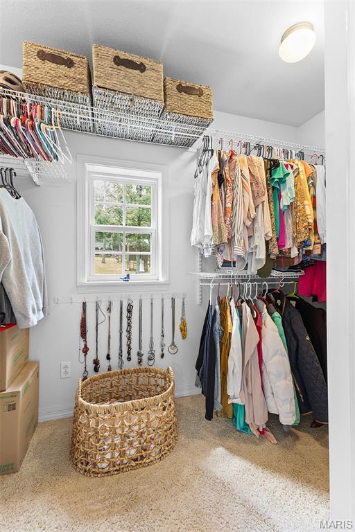 2004 Possum Hollow Rd, Farmington, MO 63640 - view of walk in closet