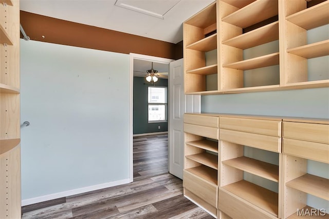 505 Lias Way, Wentzville, MO 63385 - walk in closet featuring wood finished floors and attic access