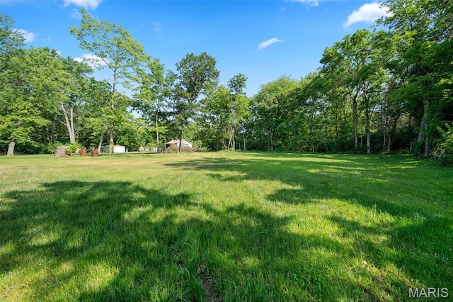 63 Plackemeier Dr, Ofallon, MO 63366 - view of green lawn