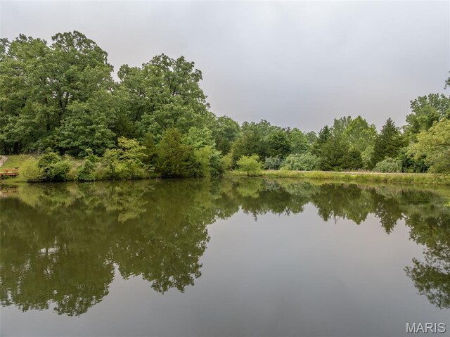 483 Hummingbird View Dr, Innsbrook, MO 63390 - water view with a forest