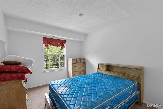 312 Clayton Crossing Dr Unit 301, Ellisville, MO 63011 - photo 28