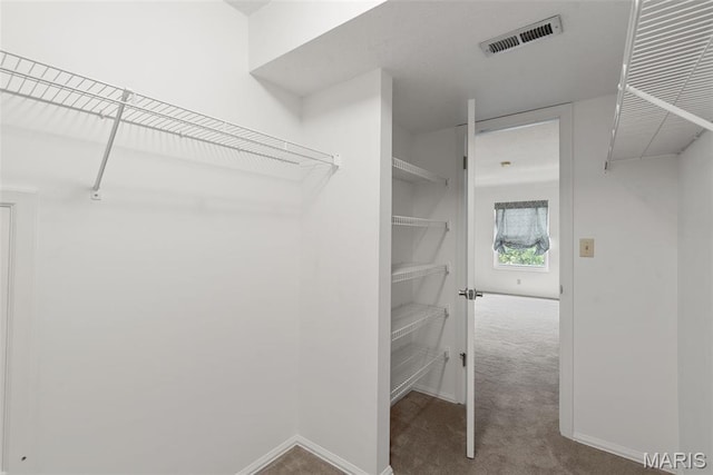 312 Clayton Crossing Dr Unit 301, Ellisville, MO 63011 - photo 34