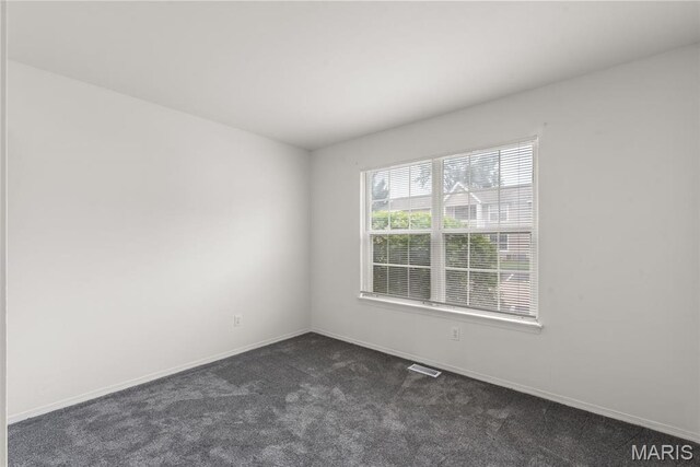 4316 Inlet Isle Dr, Florissant, MO 63034 - photo 23