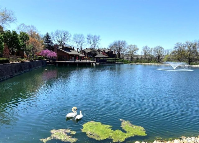 408 Kipling Way Unit A, Weldon Spring, MO 63304 - water view