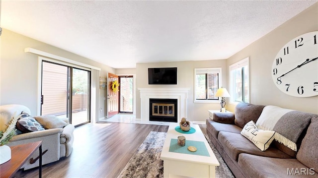 408 Kipling Way Unit A, Weldon Spring, MO 63304 - living room featuring wood finished floors, a textured ceiling, and a glass covered fireplace