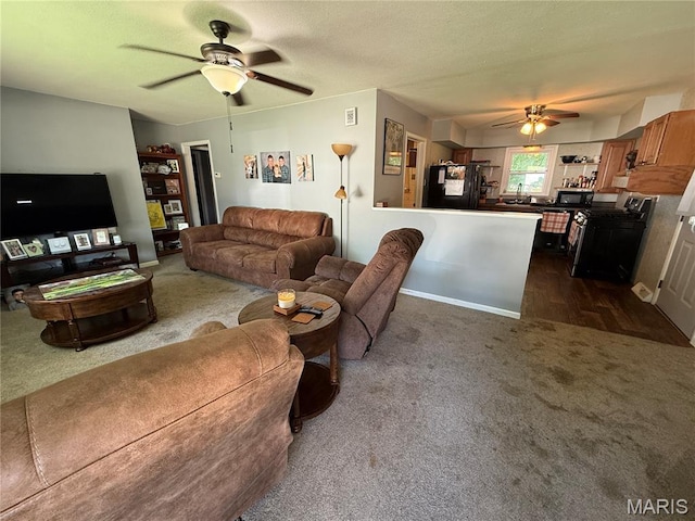 205 S 6th, Shelbina, MO 63468 - living area with ceiling fan and dark carpet