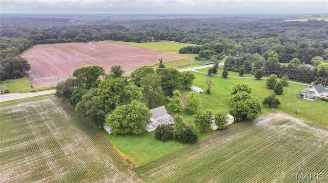 7026 Rte 111, Piasa, IL 62079 - photo 6