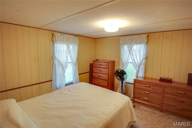 7026 Rte 111, Piasa, IL 62079 - photo 42