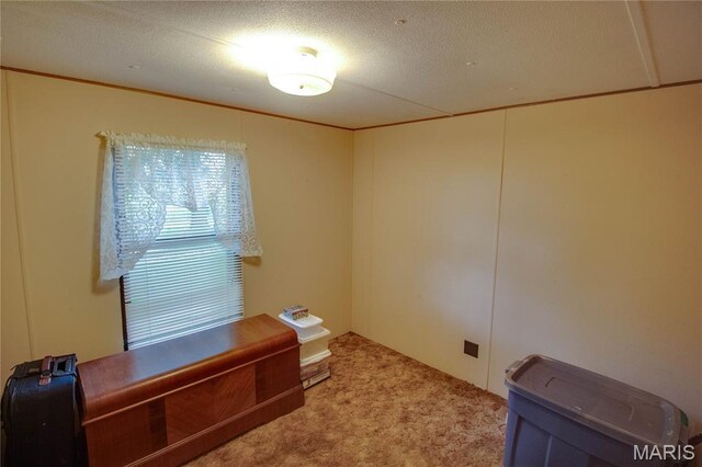 7026 Rte 111, Piasa, IL 62079 - photo 48