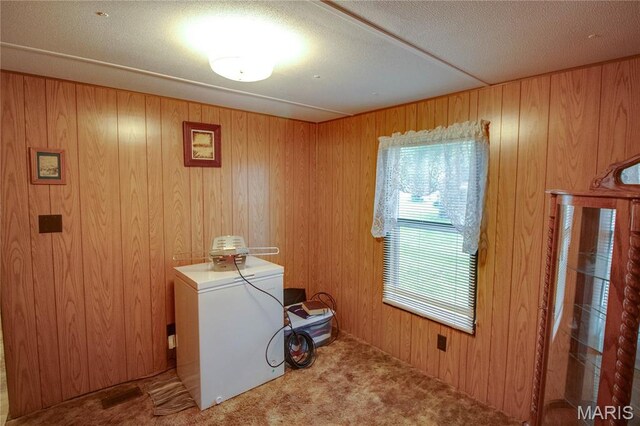 7026 Rte 111, Piasa, IL 62079 - photo 51