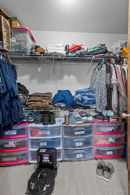 277 Althaea Ln, Jackson, MO 63755 - spacious closet featuring carpet floors