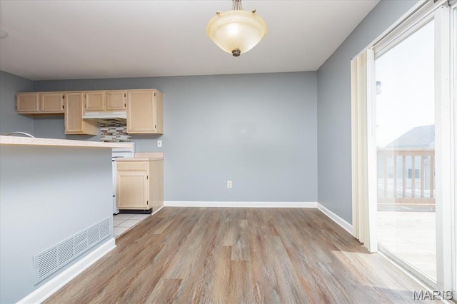 11256 Liberty Landing Dr, Florissant, MO 63033 - kitchen with under cabinet range hood, light wood finished floors, light countertops, baseboards, and decorative light fixtures