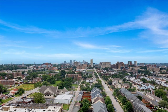 4203 Olive St, Saint Louis, MO 63108 - photo 59