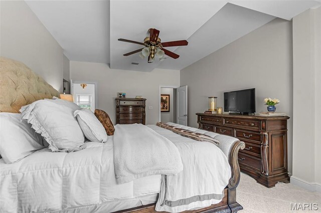 2137 Wood Hollow Ct, Cape Girardeau, MO 63701 - photo 28