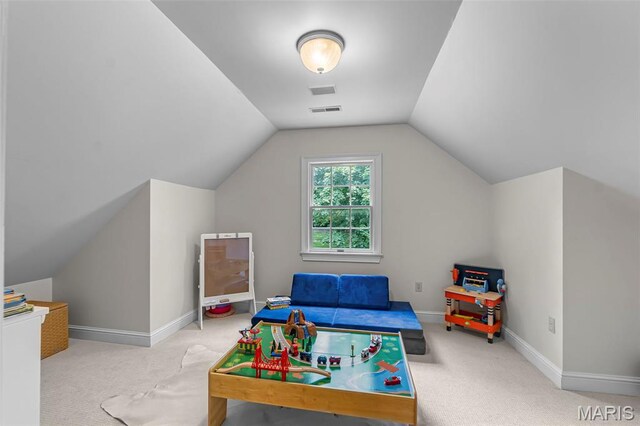 2137 Wood Hollow Ct, Cape Girardeau, MO 63701 - photo 31