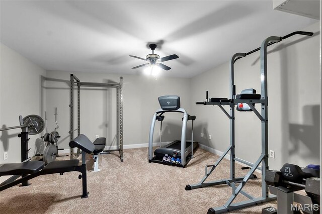 2137 Wood Hollow Ct, Cape Girardeau, MO 63701 - photo 45