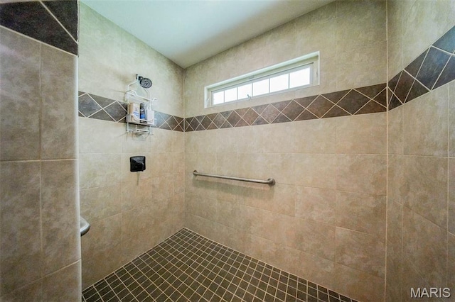 10660 Fawn Rdg, Rolla, MO 65401 - bathroom featuring a tile shower
