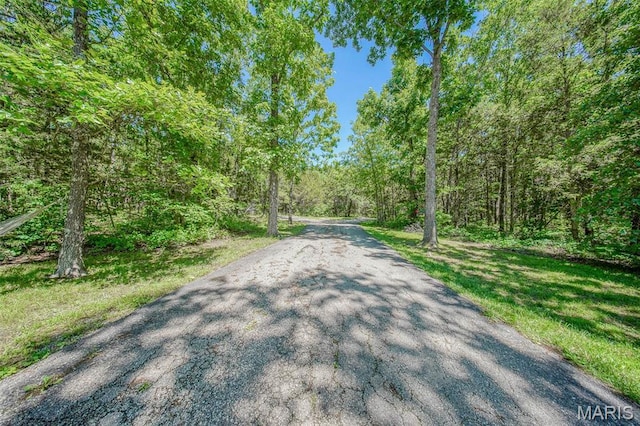 10660 Fawn Rdg, Rolla, MO 65401 - view of asphalt road featuring a wooded view