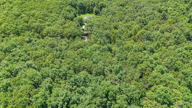 10660 Fawn Rdg, Rolla, MO 65401 - aerial view of a forest