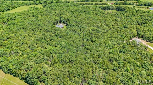 10660 Fawn Rdg, Rolla, MO 65401 - aerial view of a forest