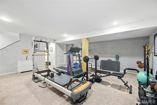 1056 Sandfort Farm Dr, Saint Charles, MO 63301 - photo 23
