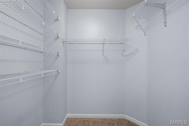12101 Fahrpark Ln, Saint Louis, MO 63146 - walk in closet featuring carpet flooring
