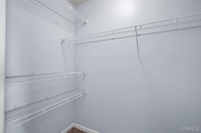 12101 Fahrpark Ln, Saint Louis, MO 63146 - view of spacious closet