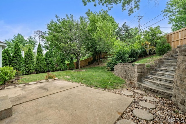 12101 Fahrpark Ln, Saint Louis, MO 63146 - view of yard with a patio area and stairway