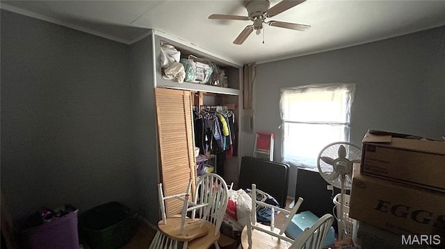 526 N Locust St, Dexter, MO 63841 - bedroom featuring crown molding, a closet, and ceiling fan