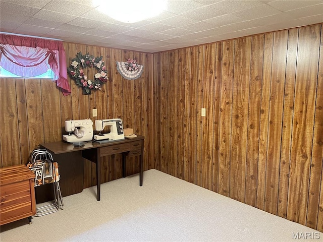 1030 Jenkins St, Perryville, MO 63775 - photo 17