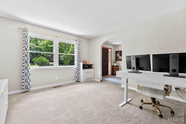 24 Forest Gate Dr, Belleville, IL 62220 - photo 31