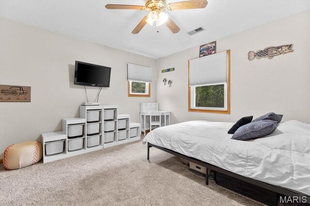 24 Forest Gate Dr, Belleville, IL 62220 - photo 40