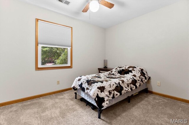 24 Forest Gate Dr, Belleville, IL 62220 - photo 43