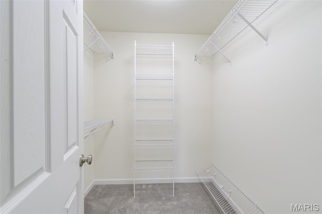 3325 Charlestowne Crossing Dr, Saint Charles, MO 63301 - spacious closet featuring carpet