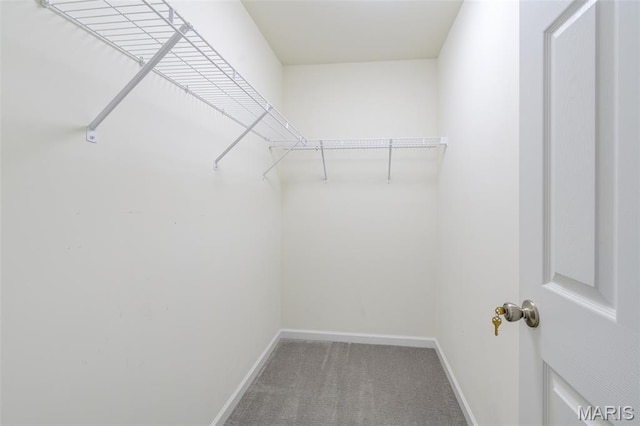 3325 Charlestowne Crossing Dr, Saint Charles, MO 63301 - walk in closet with carpet flooring