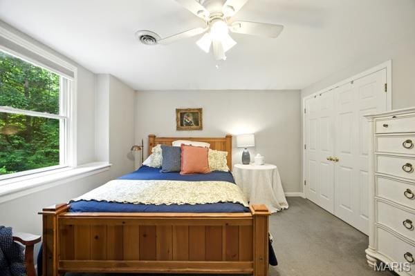 9 Sun Trail, Rise Trail, MO 63050 - carpeted bedroom featuring multiple windows, ceiling fan, and a closet
