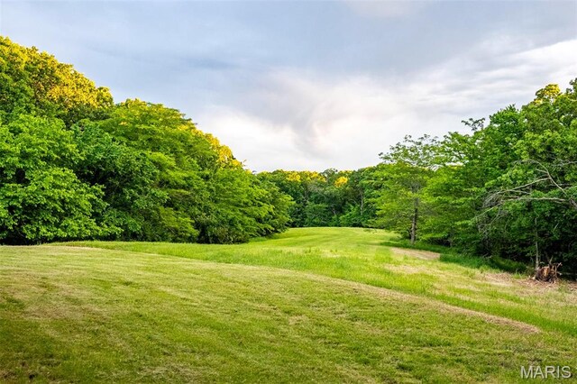 00 Tickridge Rd, Elsberry, MO 63377