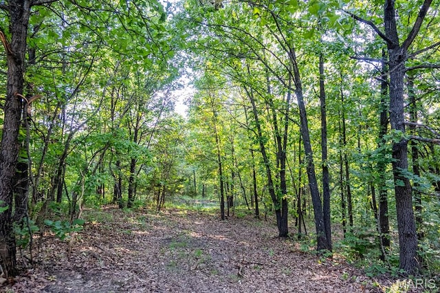 00 Tickridge Rd, Elsberry, MO 63377
