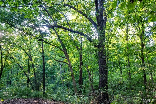 00 Tickridge Rd, Elsberry, MO 63377