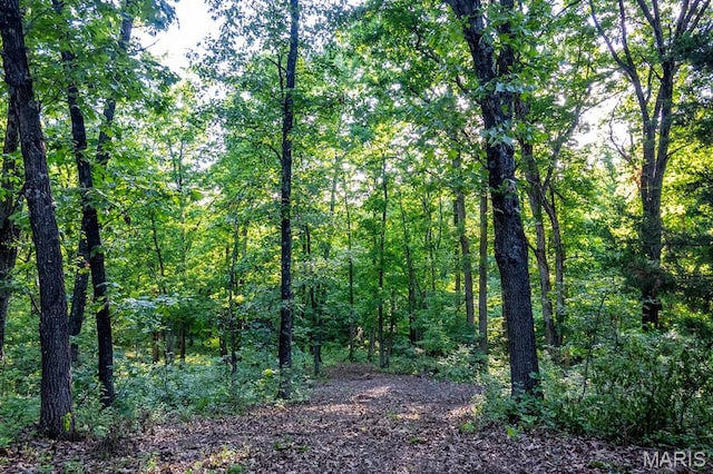 00 Tickridge Rd, Elsberry, MO 63377